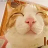 Siegsauce
