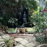 PhuongKha