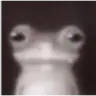 Zerohen