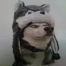 zmug