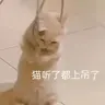 1343665076