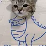 Bakaaaaa