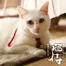 RCat