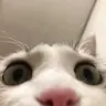 ttdoublek