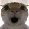Pollala