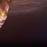 wewew22