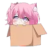 AyAyNP