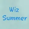 wiz summer