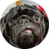 DannyPt