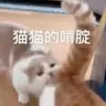 feiyu3522