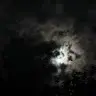 NemesisXZ