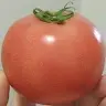 978