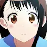 evilonodera