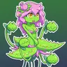 Vivi Nymphaea