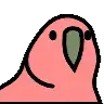 aaajtcjty