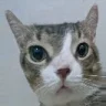 Mrbubbles