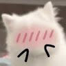 Meo meo
