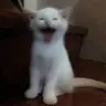 ichiboi