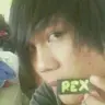 rexmod