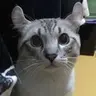 yieldtome