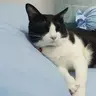moonoizTH