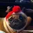 pugnasty