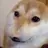 DOGEEEE