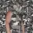 BOBCAMO