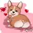 doggocorgi
