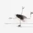 howtobalance