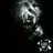 thunder_bird