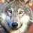 Silentwolf