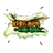 MikanDewZ