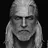 The Witcher