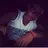 Jonathan696969