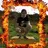 Charizard26