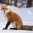KitoTheRedFox