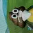 I want play arc