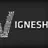 Vignesh