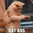 Jeffbob102