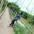 OWNER DNM SIMPLE