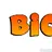 BICnest
