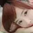 Hyony