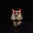 ddhanz_