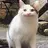 Thanhphong302