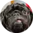DannyPt