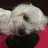sukiNN