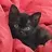 BlackstarKitty