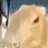 Saturiu