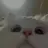 Zoeee